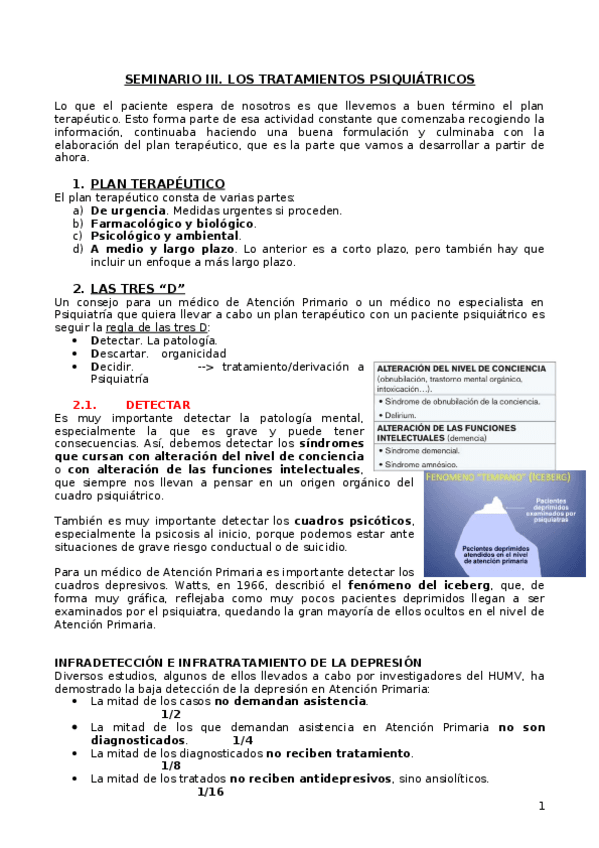 Miniatura del documento SEMINARIO-III.-LOS-TRATAMIENTOS-PSIQUIATRICOS.docx