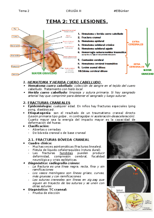 Miniatura del documento TEMA-2-TCE-LESIONES.docx