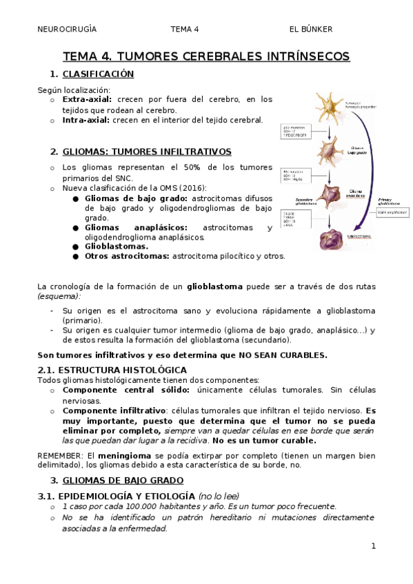 Miniatura del documento TEMA-4.-Tumores-intrinsecos.docx