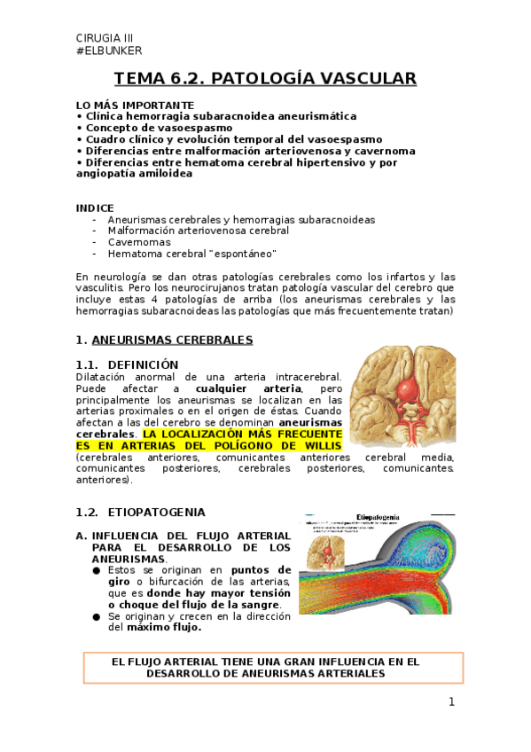Miniatura del documento TEMA-6.2-PATOLOGIA-VASCULAR-II..docx