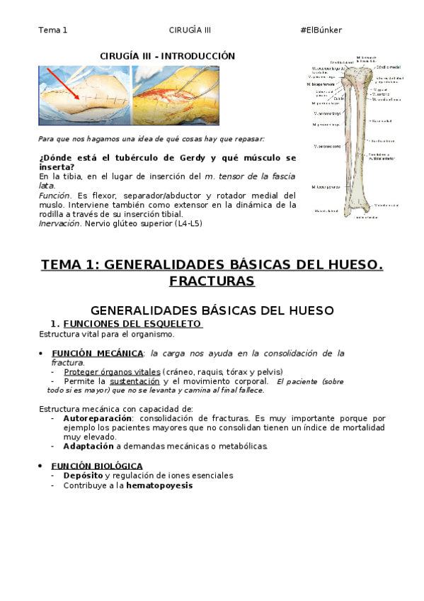 Miniatura del documento TEMA-1-Fracturas-y-generalidades-del-hueso.docx