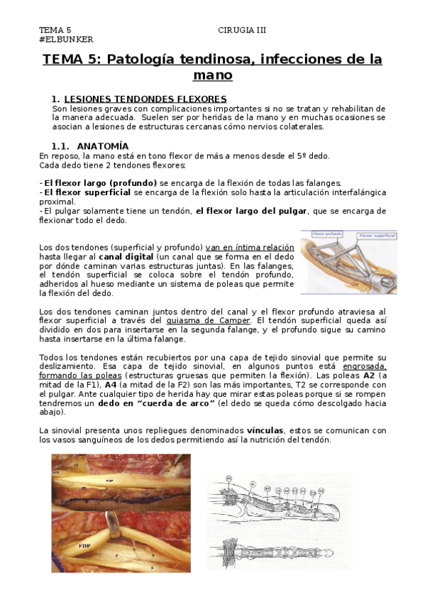 Miniatura del documento TEMA-5-Patologia-tendinosa-e-infecciones-de-la-mano.docx