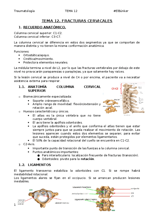 Miniatura del documento Tema-13.-Fracturas-cervicales.docx