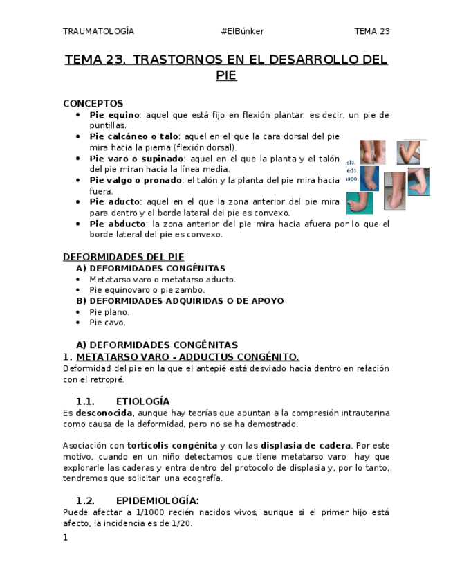 Miniatura del documento Tema-23.-Trastornos-en-el-desarrollo-del-pie.docx