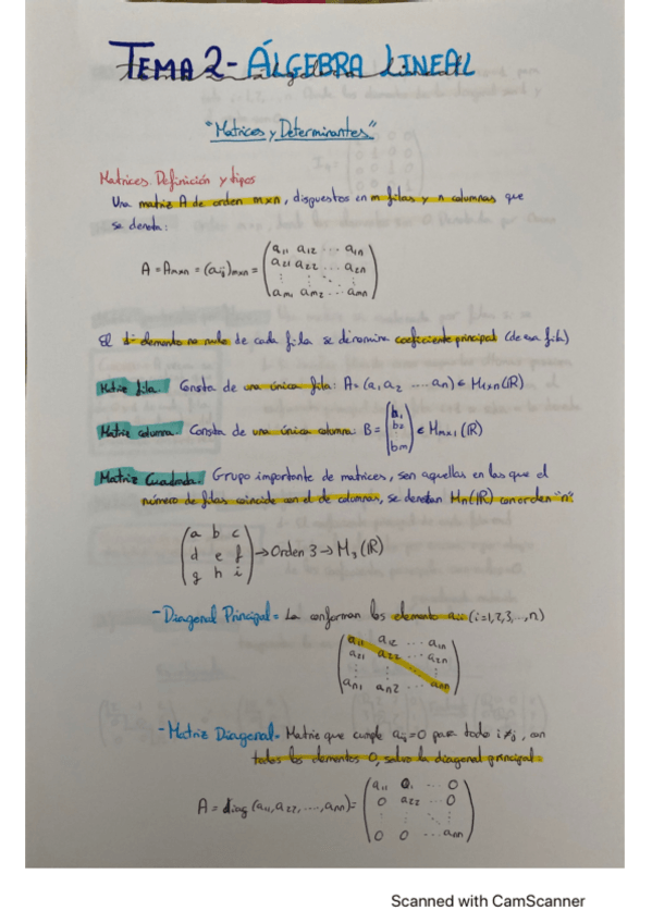 Miniatura del documento Algebra-lineal-Tema2.pdf