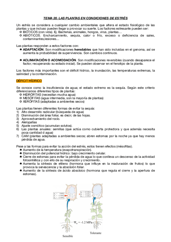 Miniatura del documento TEMA-20.pdf