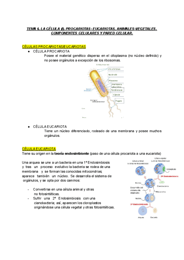 Miniatura del documento LA-CELULA.pdf