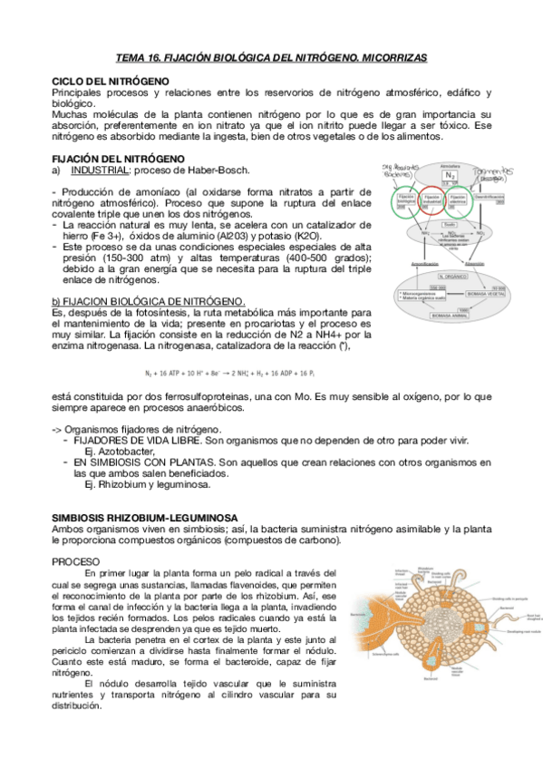 Miniatura del documento TEMA-16.pdf