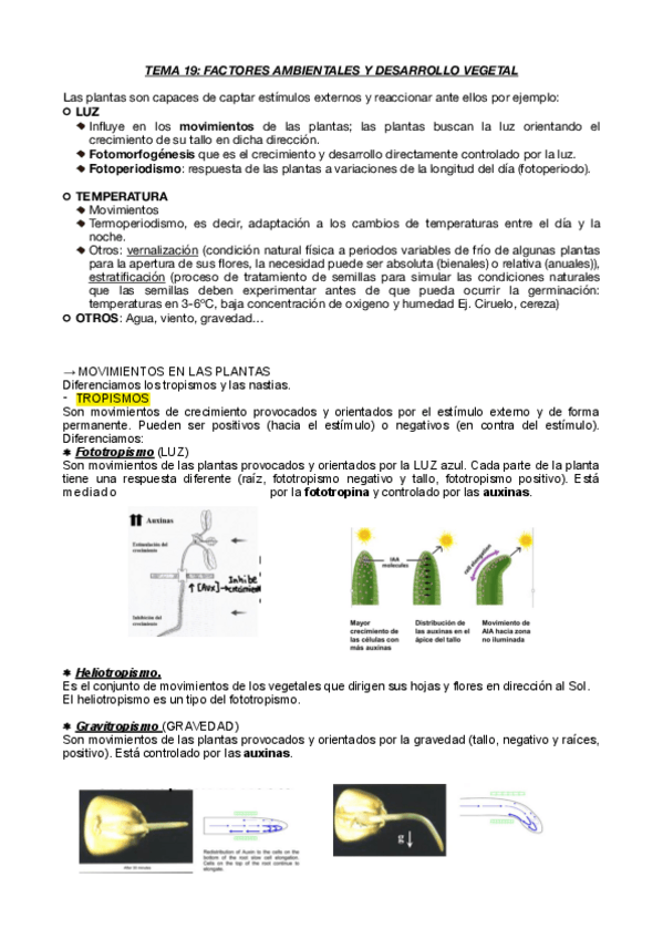 Miniatura del documento Tema-19.pdf