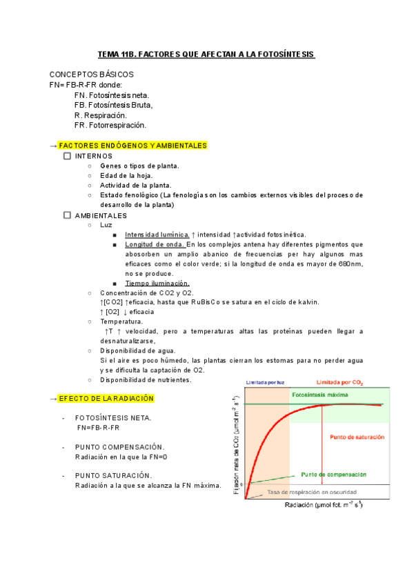 Miniatura del documento B.-FACTORES-INFLUYENTES.pdf