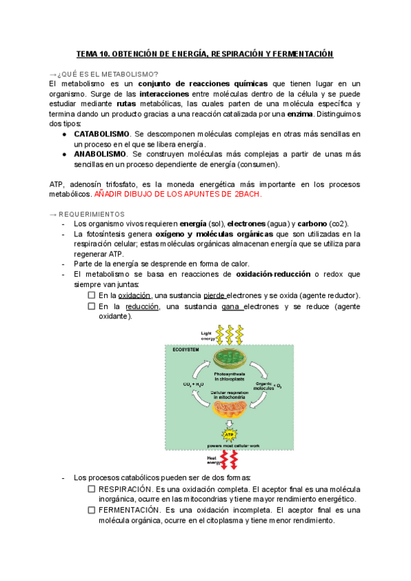 Miniatura del documento METABOLISMO.pdf