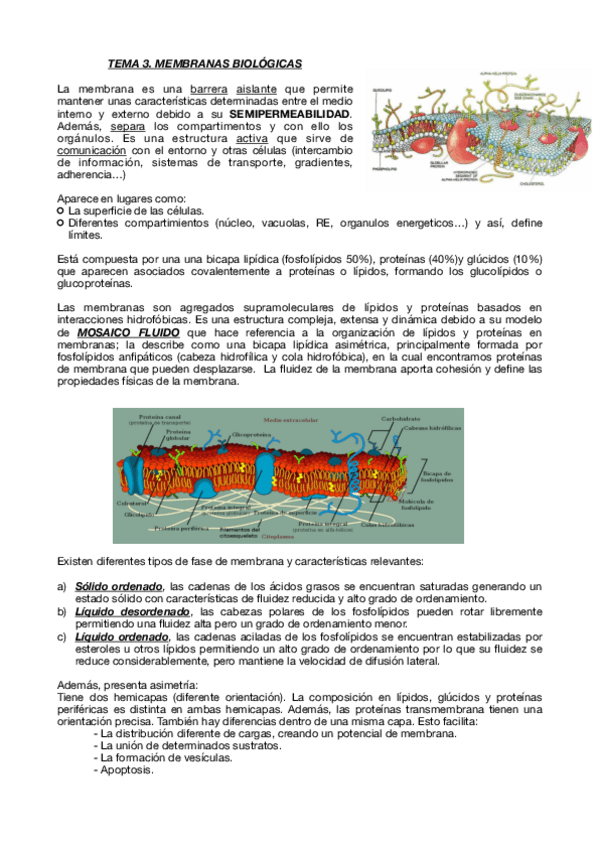 Miniatura del documento Tema-3.pdf