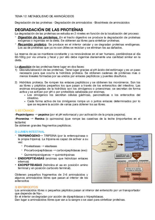 Miniatura del documento Tema-12-A.pdf