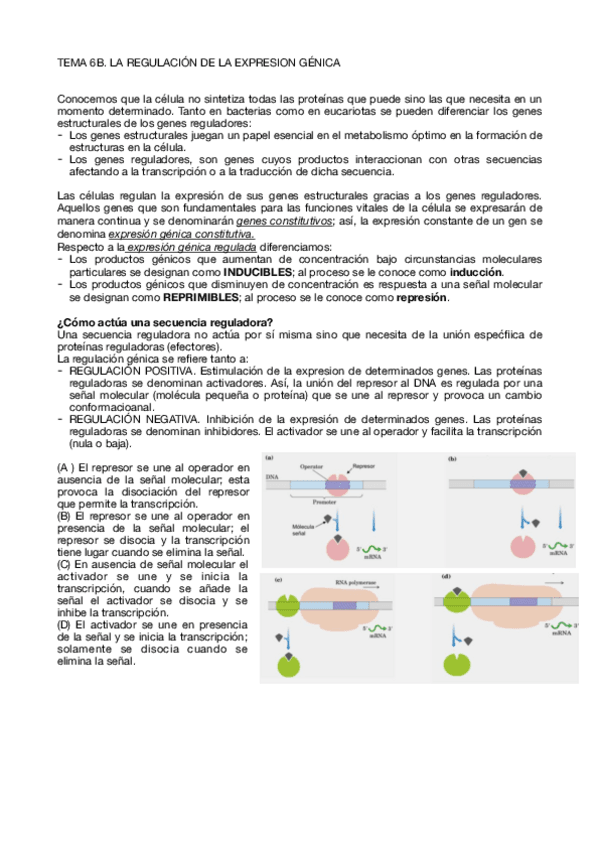 Miniatura del documento Tema-6B.pdf