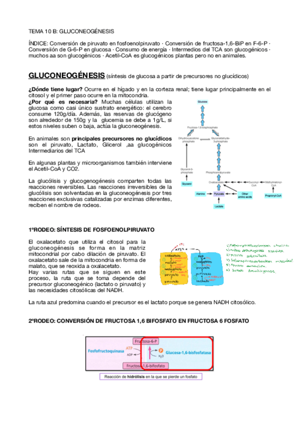 Miniatura del documento Tema-10-B.pdf