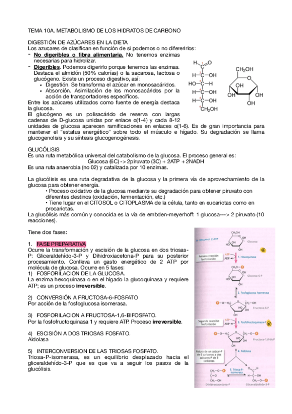 Miniatura del documento Tema-10-A.pdf
