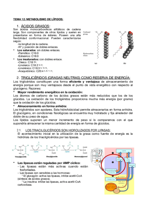 Miniatura del documento Tema-12-B.pdf
