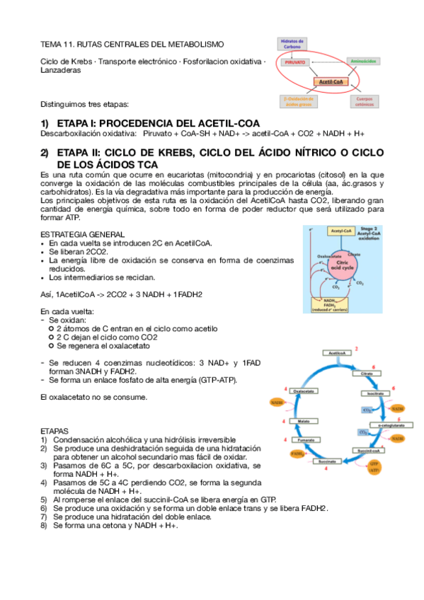 Miniatura del documento Tema-11.pdf