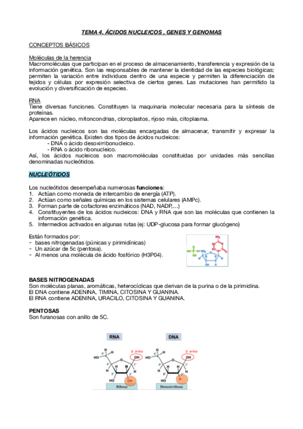 Miniatura del documento Tema-4.pdf