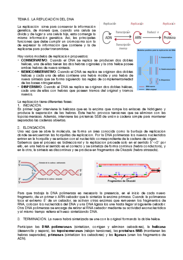 Miniatura del documento Tema-5.pdf