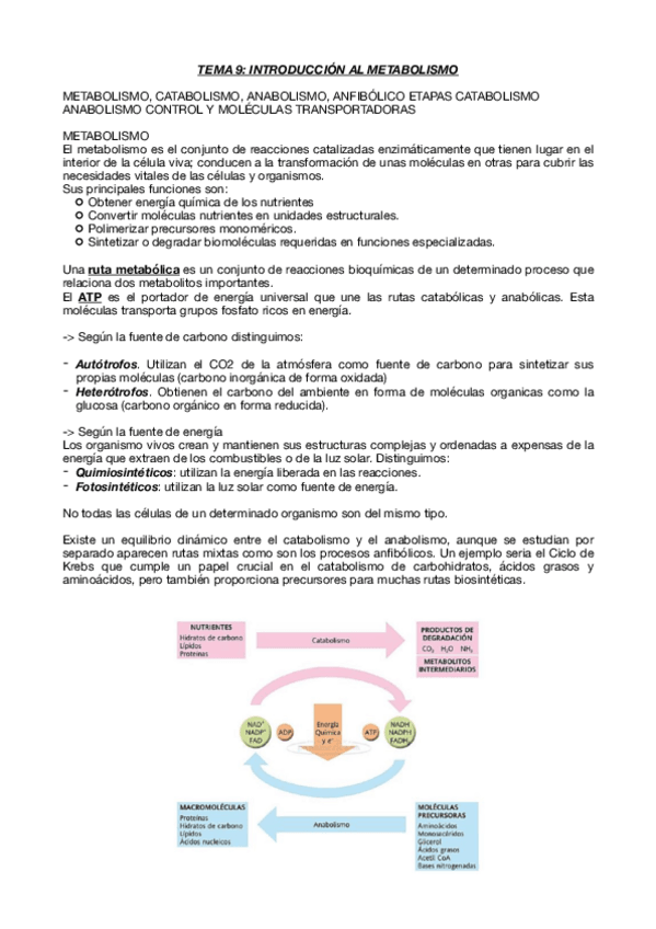Miniatura del documento Tema-9.pdf