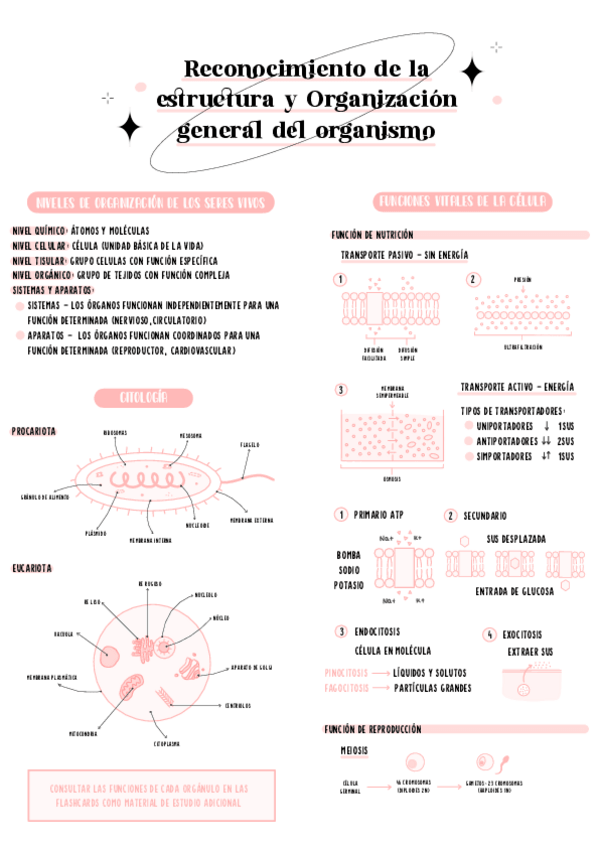 Miniatura del documento TM1-Reconocimiento-de-la-estructura-y-organizacion-del-organismo.pdf