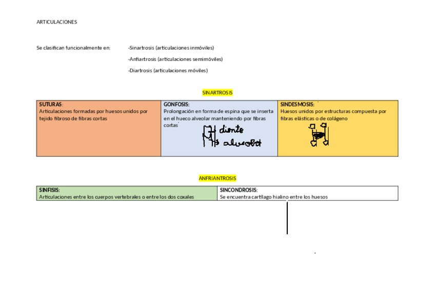 Miniatura del documento apuntes-articulaciones.pdf