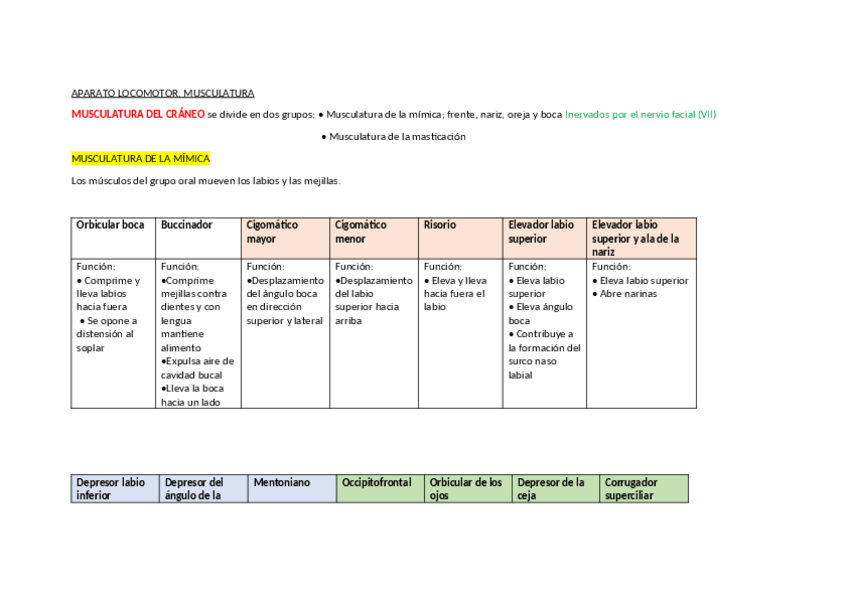 Miniatura del documento apuntes-musculatura.pdf
