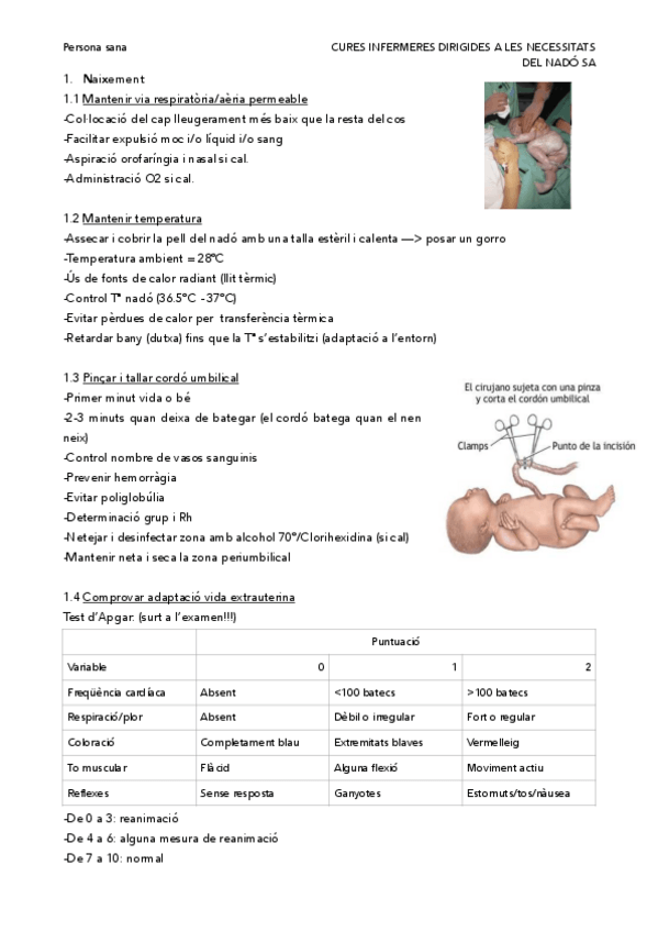 Miniatura del documento 6.-Apunts-Cures-infermeres-dirigides-a-les-necessitats-del-nado-sa.pdf
