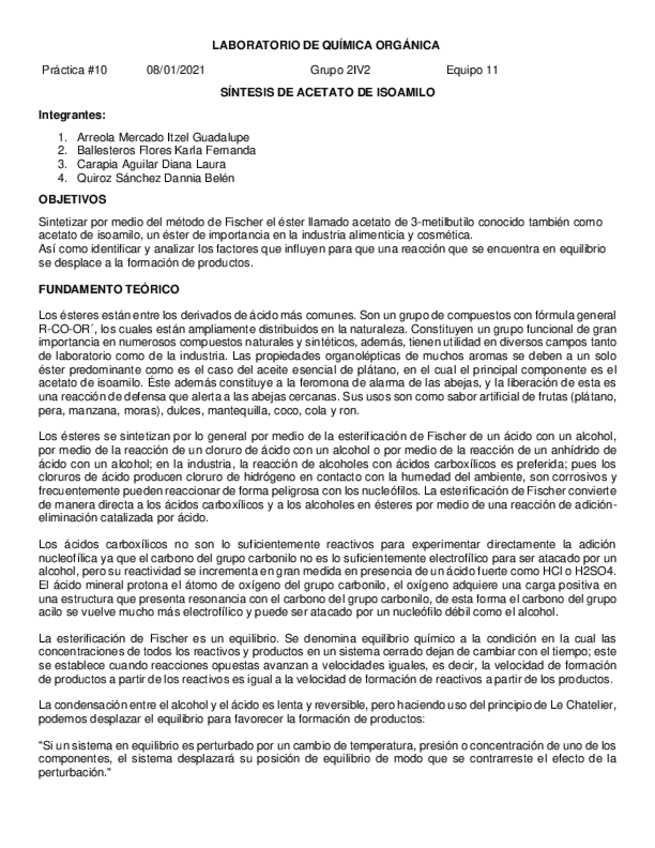 Miniatura del documento Reporte-practica-10.pdf