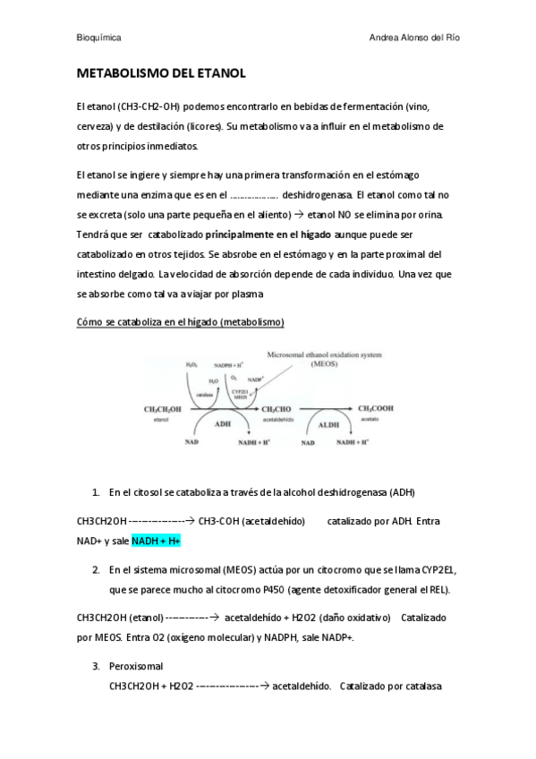 Miniatura del documento metabolismo etanol.pdf