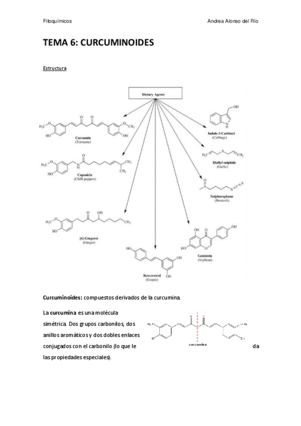 Miniatura del documento TEMA 6.pdf