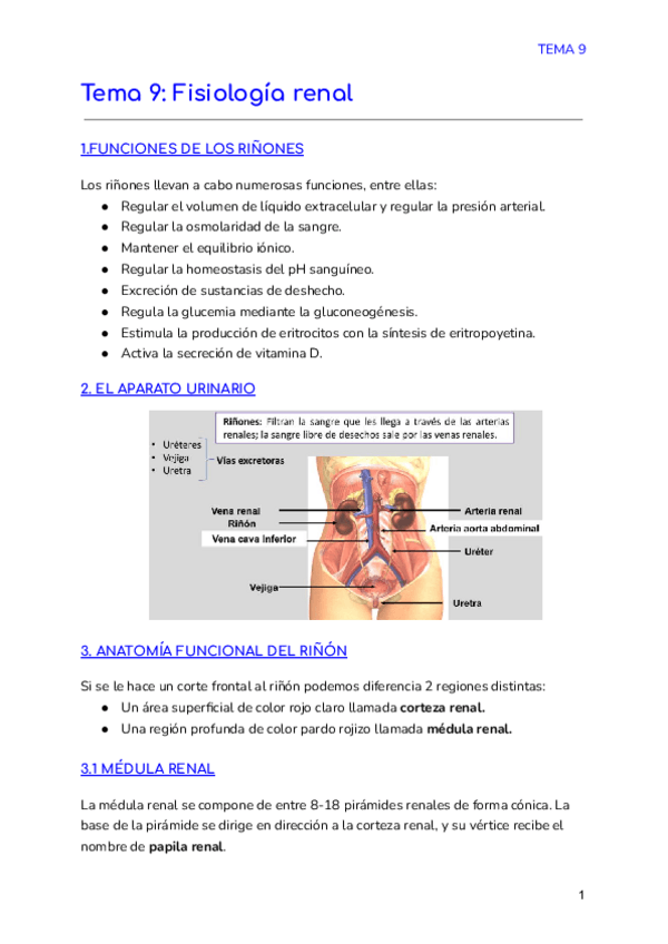 Miniatura del documento Tema-9-Fisiologia-renal.pdf