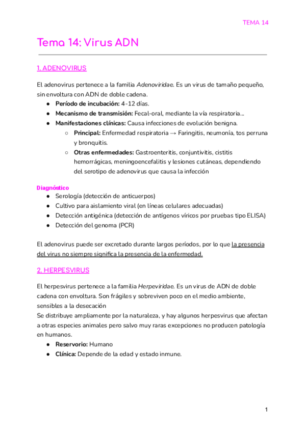 Miniatura del documento Tema-14-Virus-ADN.pdf