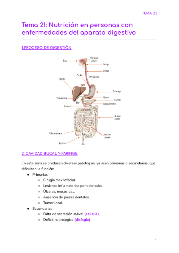 Miniatura del documento Tema-21-Nutricion-en-personas-con-enfermedades-del-aparato-digestivo.pdf