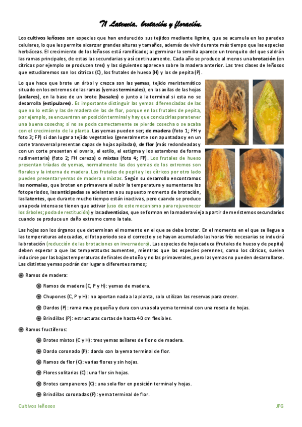 Miniatura del documento Apuntes-de-clase-JFG.pdf