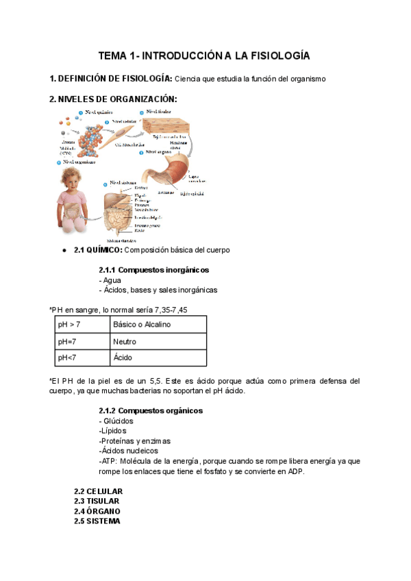 Miniatura del documento FIS1.pdf