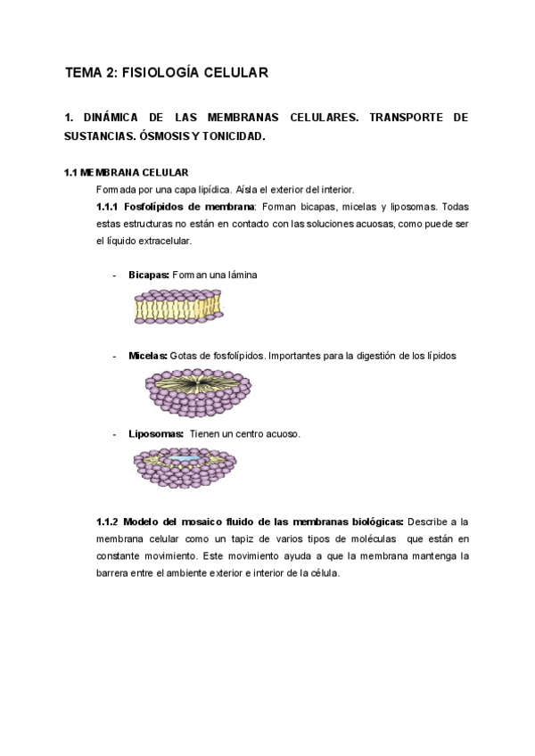 Miniatura del documento FIS2.pdf