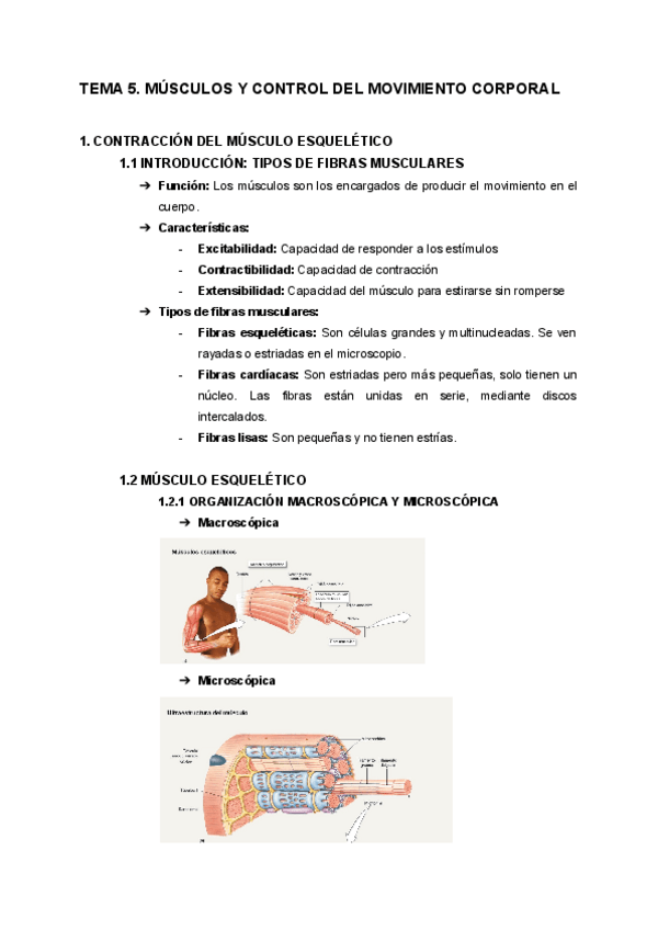 Miniatura del documento FIS5.pdf