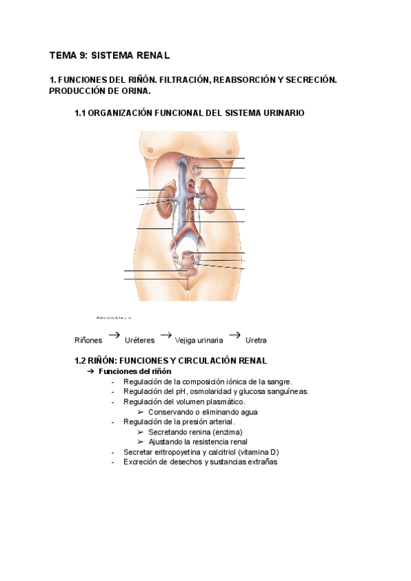 Miniatura del documento FIS-9.pdf