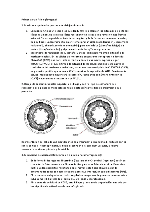 Miniatura del documento Primer-parcial-JFG.pdf