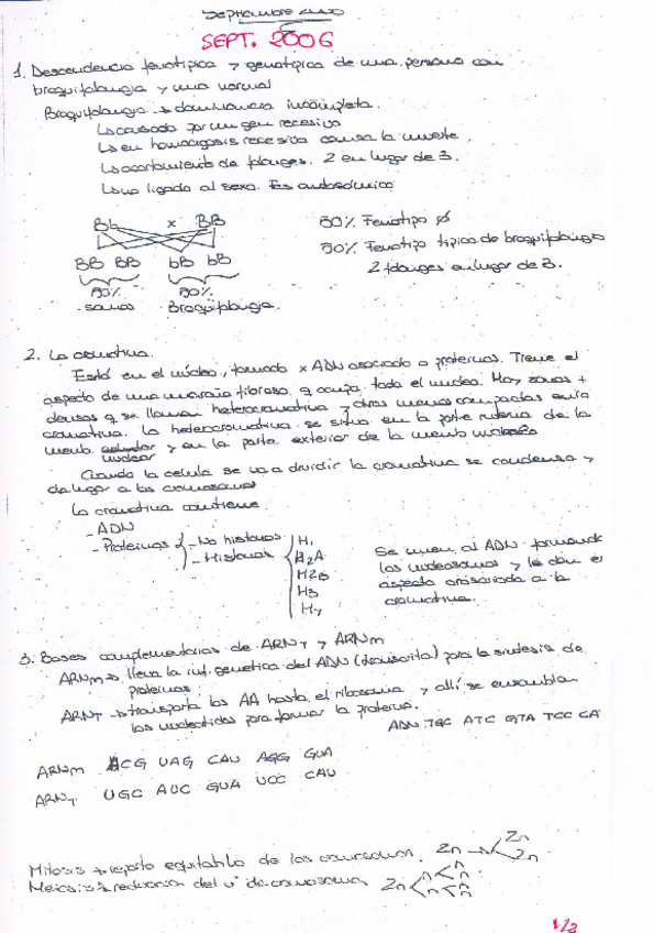 Miniatura del documento examenes Laplaza.pdf