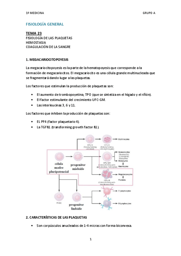 Miniatura del documento TEMA 23.pdf