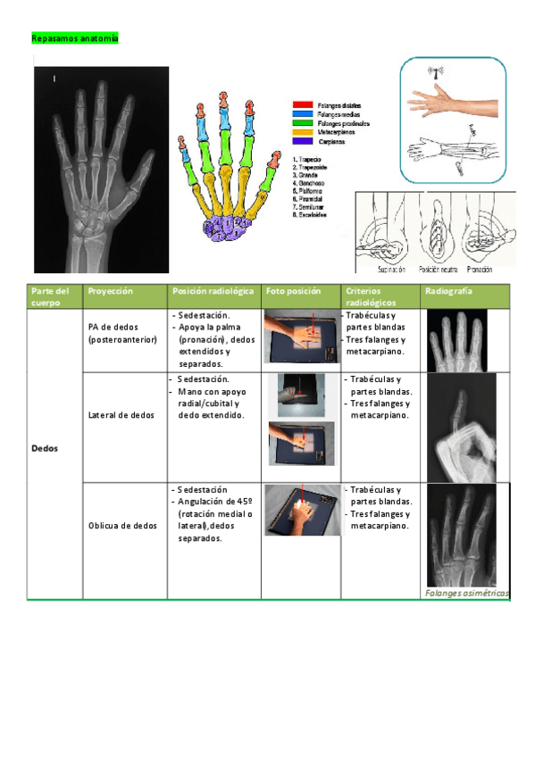 Miniatura del documento proyecciones-radiologia-simple.pdf
