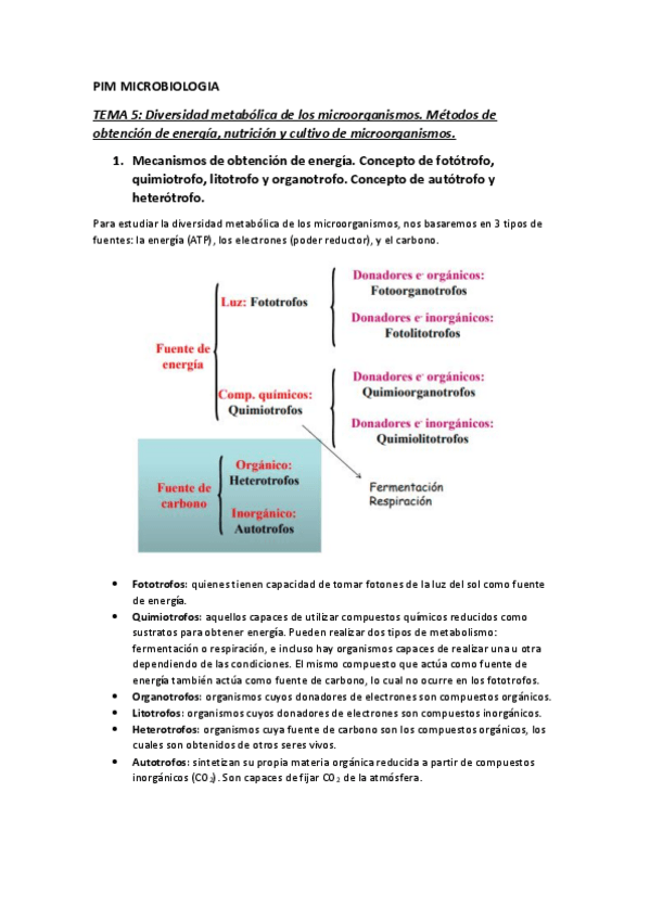 Miniatura del documento TEMA 5 MICRO.pdf