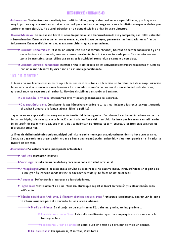 Miniatura del documento TEMA-1.-CIUDAD-Y-TERRITORIO.pdf