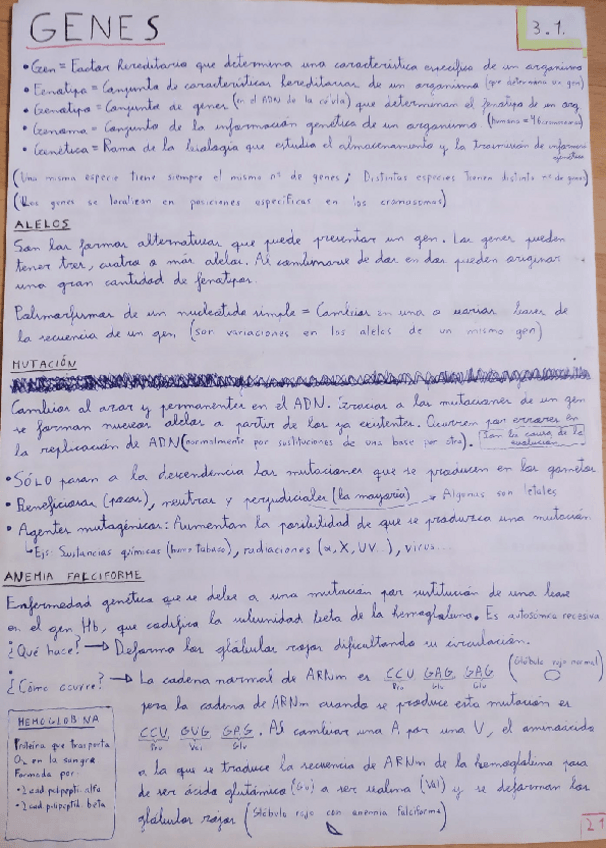 Miniatura del documento Tema-3.pdf