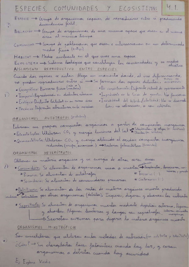 Miniatura del documento Tema-4.pdf
