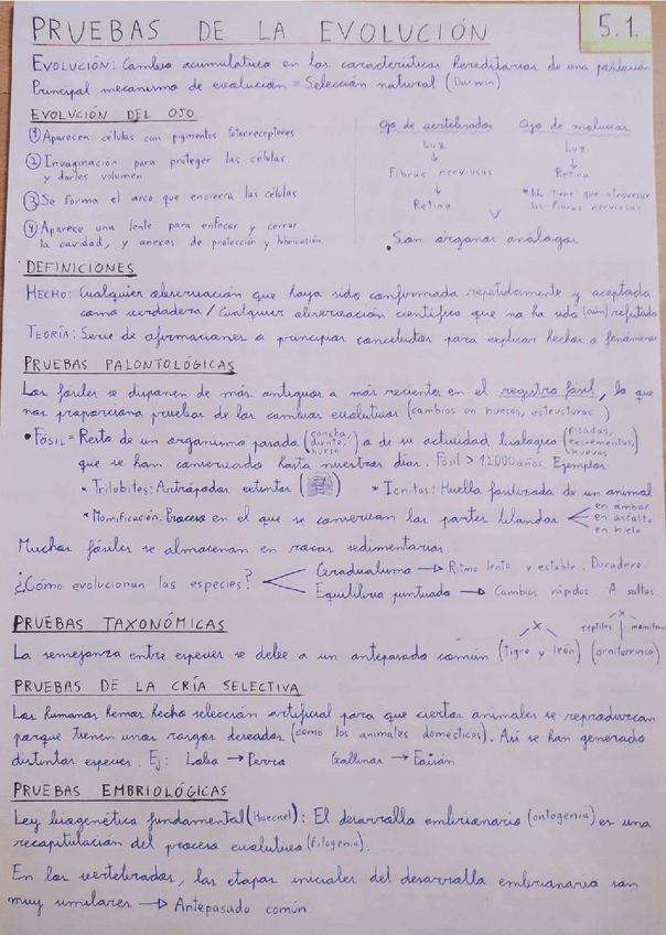 Miniatura del documento Tema-5.pdf