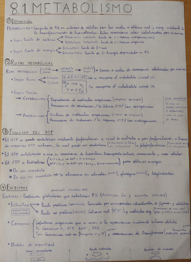 Miniatura del documento Tema-8.pdf